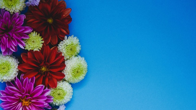 次定位球机 次定位球机