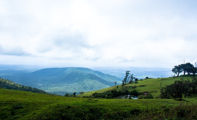 与业主的关 与业主的关