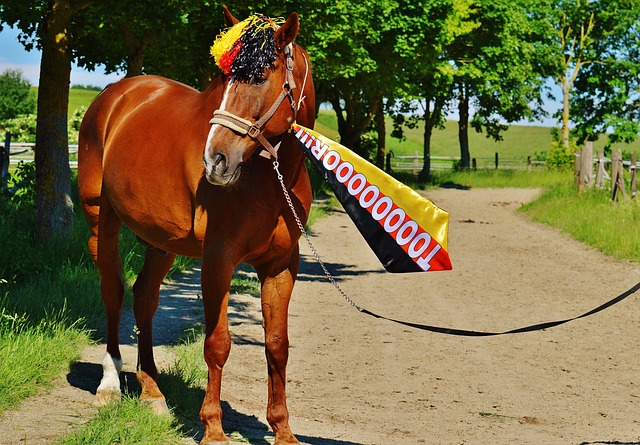 对团队动态 对团队动态