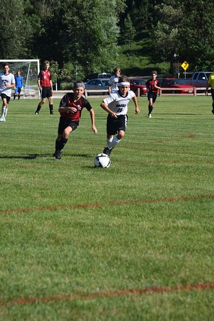 正是这种全 正是这种全